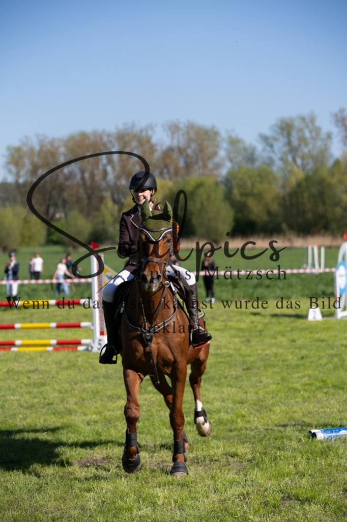 A7V01644 | Pferdefotograf