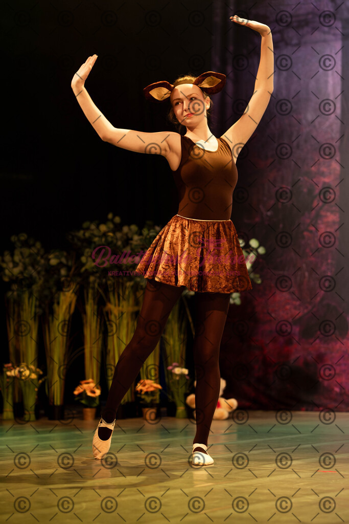 Ballettaufführung-1207 | Bildershop Lem'n Entertainment - Realisiert mit Pictrs.com