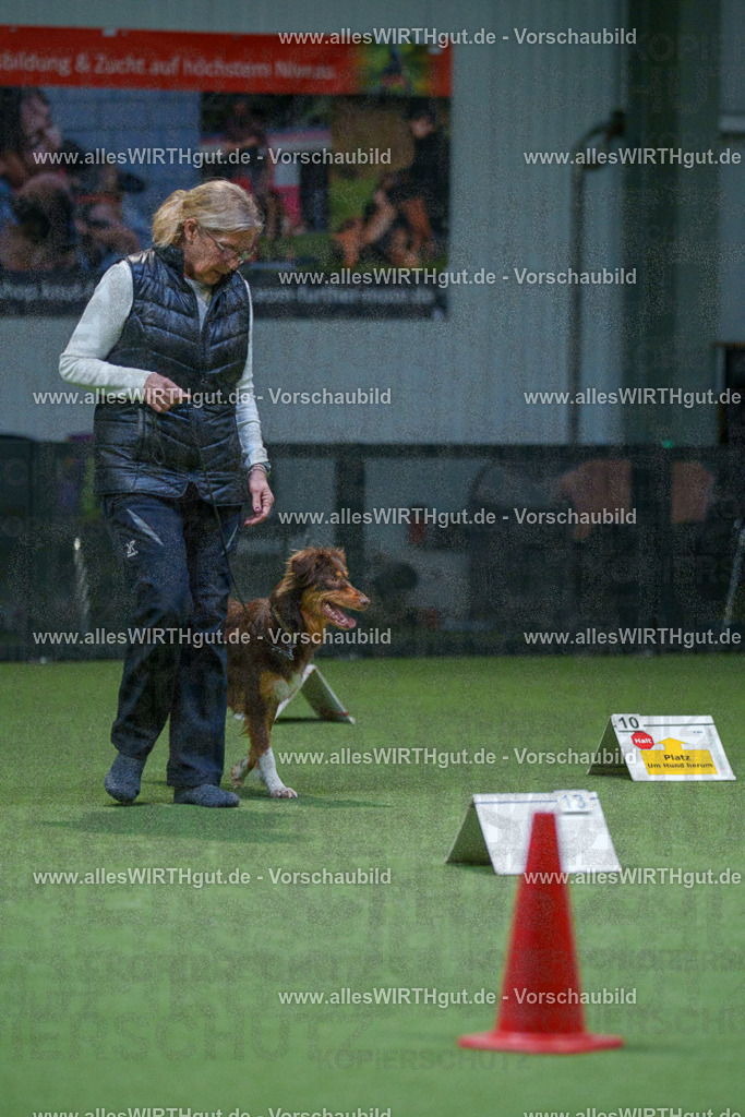 7R501362 | Professionelle Tierfotografie in Mönchengladbach von Daniel Wirth (allesWIRTHgut). Liebevolle & natürliche Bilder von Hunden & Katzen für unvergessliche Erinnerungen.