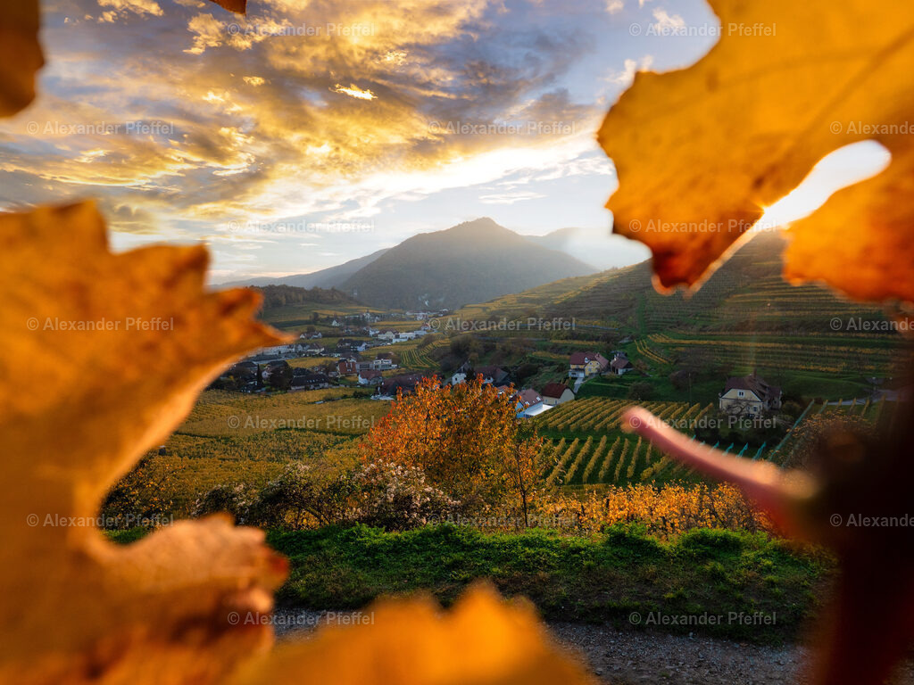 foto_c_pfeffel-partner-0215-P1011882-HDR-Bearbeitet | alexander-pfeffel - Realisiert mit Pictrs.com