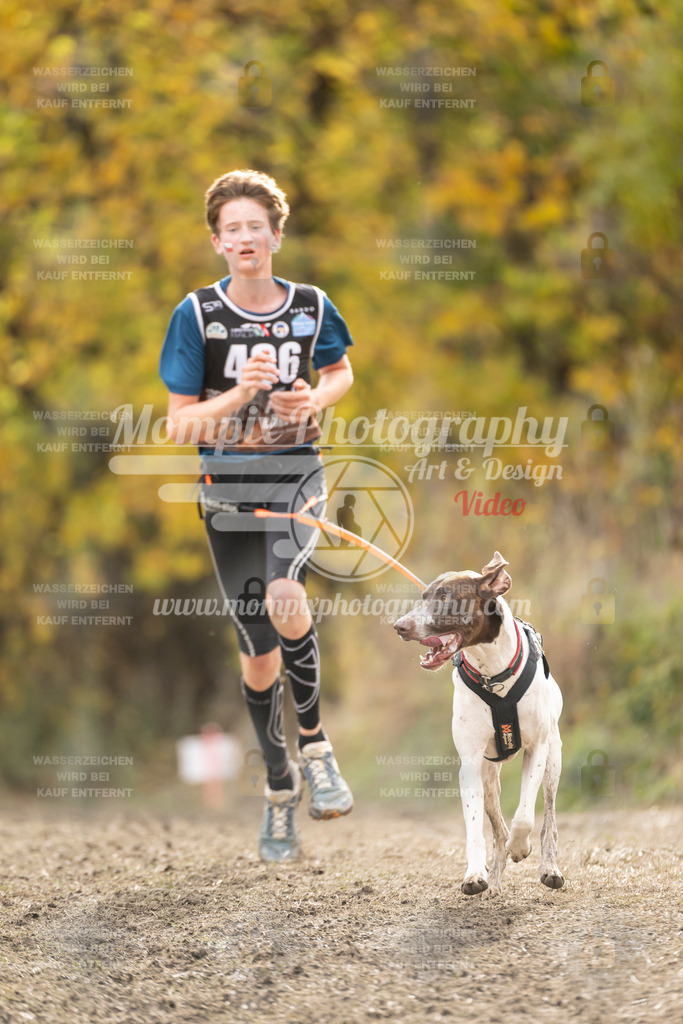 MompixPhotography_ICF_WC_2024_SA_Run_-506 | PayLife