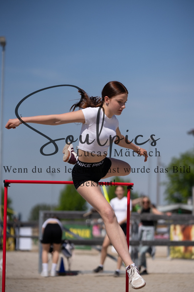 A7V01760 | Pferdefotograf