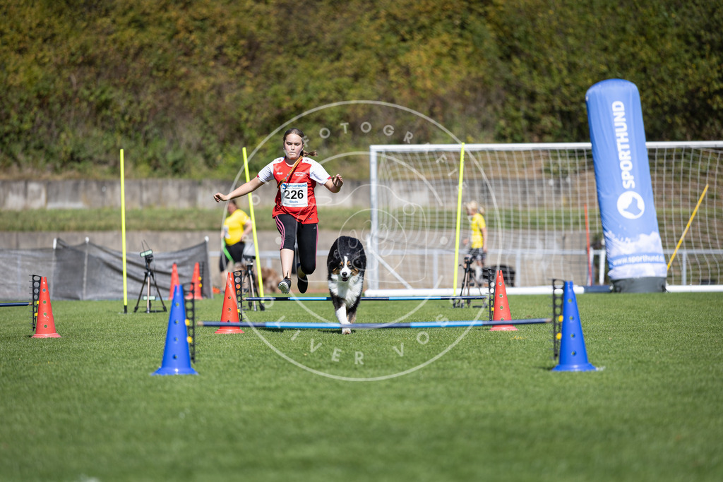 Pfotenfotografie_DV3A5595 | Hundefotografie, Tierfotograf, Pfotenfotografie, Fotoshooting Hund, Hunde Portrait, Hundesport, Hundeportraits, Heideshooting, Hunde, Sportfotograf, Hundefotograf, Turnierhundsport, THS,  - Realisiert mit Pictrs.com