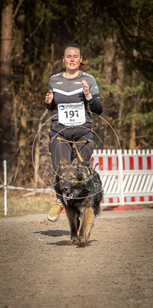 DV3A5742 | Hundefotografie, Tierfotograf, Pfotenfotografie, Fotoshooting Hund, Hunde Portrait, Hundesport, Hundeportraits, Heideshooting, Hunde, Sportfotograf, Hundefotograf, Turnierhundsport, THS,  - Realisiert mit Pictrs.com