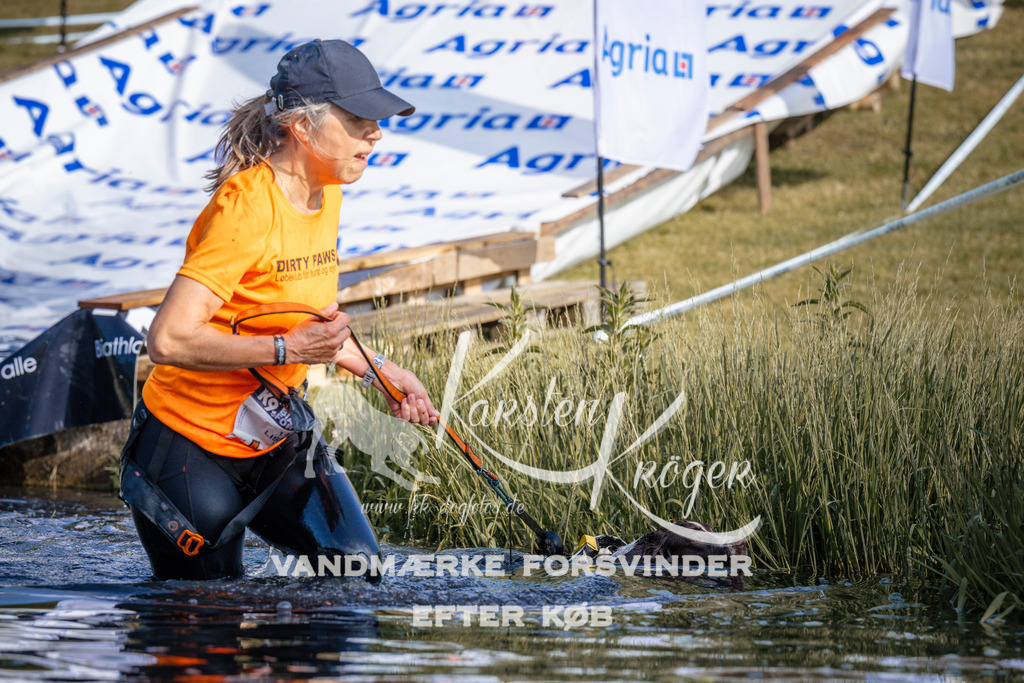 _ZZ954590726 | kk-dogfotos