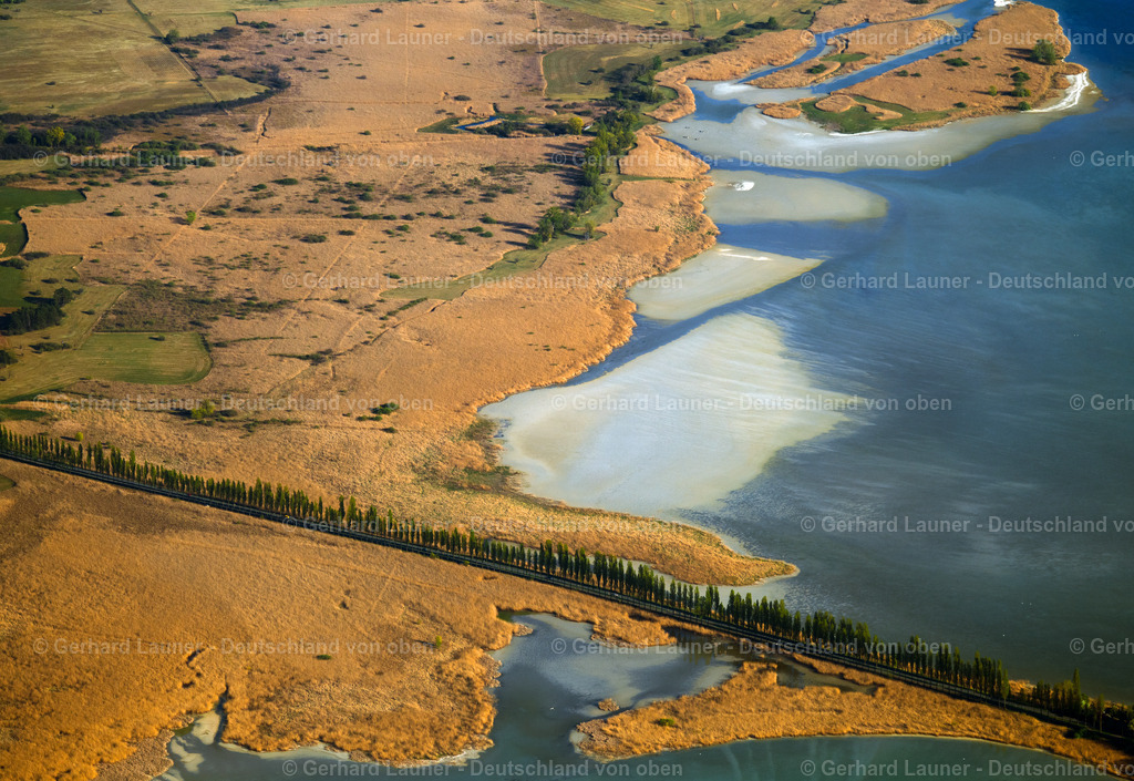 4024148 | Pappelalle an der Pirminstrasse, Wollmatinger Ried, Bodensee, STECKBORN 15.04.2020 Uferbereichs- Landschaft am Gebiet der Seenkette Untersee am Bodensee in Steckborn im Kanton Thurgau, Schweiz. // Waterfront landscape on the lake Untersee on Bodensee in Steckborn in the canton Thurgau, Switzerland. Foto: Gerhard Launer