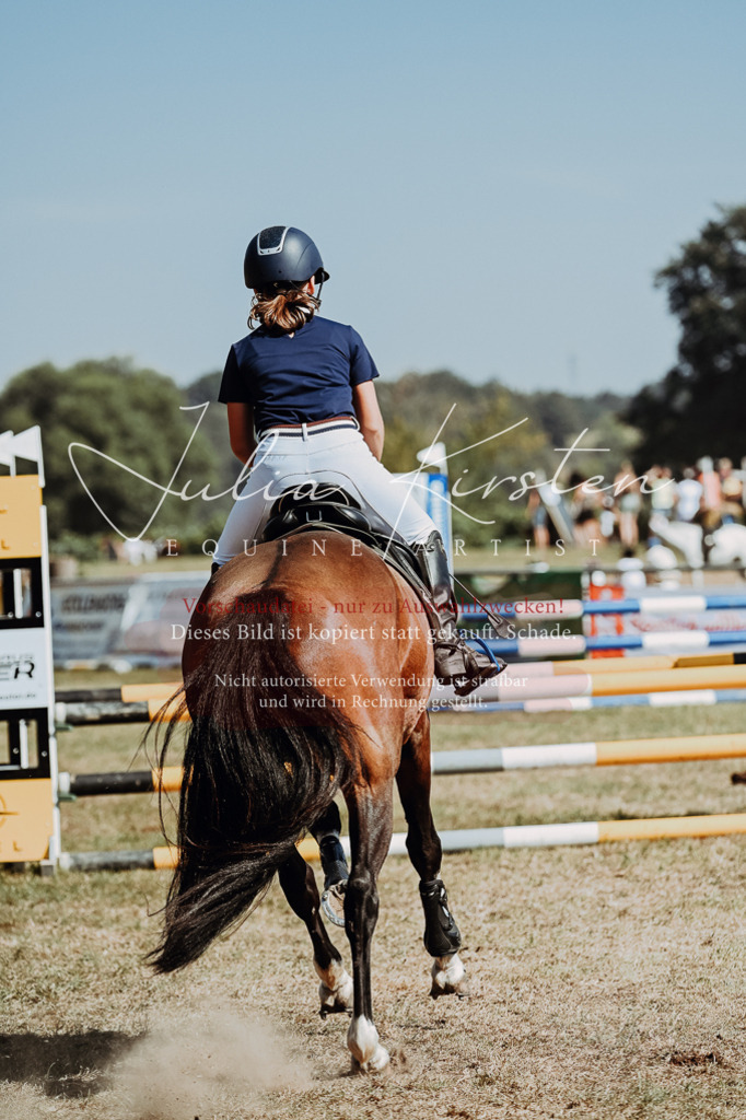 DSC_0068 | Pferde- und Turnierfotografie in Westsachsen. Pferdeportraits, Auftragszeichnungen und intuitive Kunst.