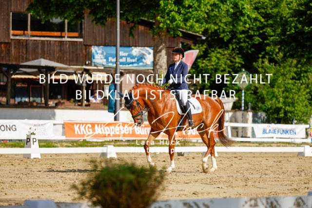 _62_2365 | larahueckfotografie