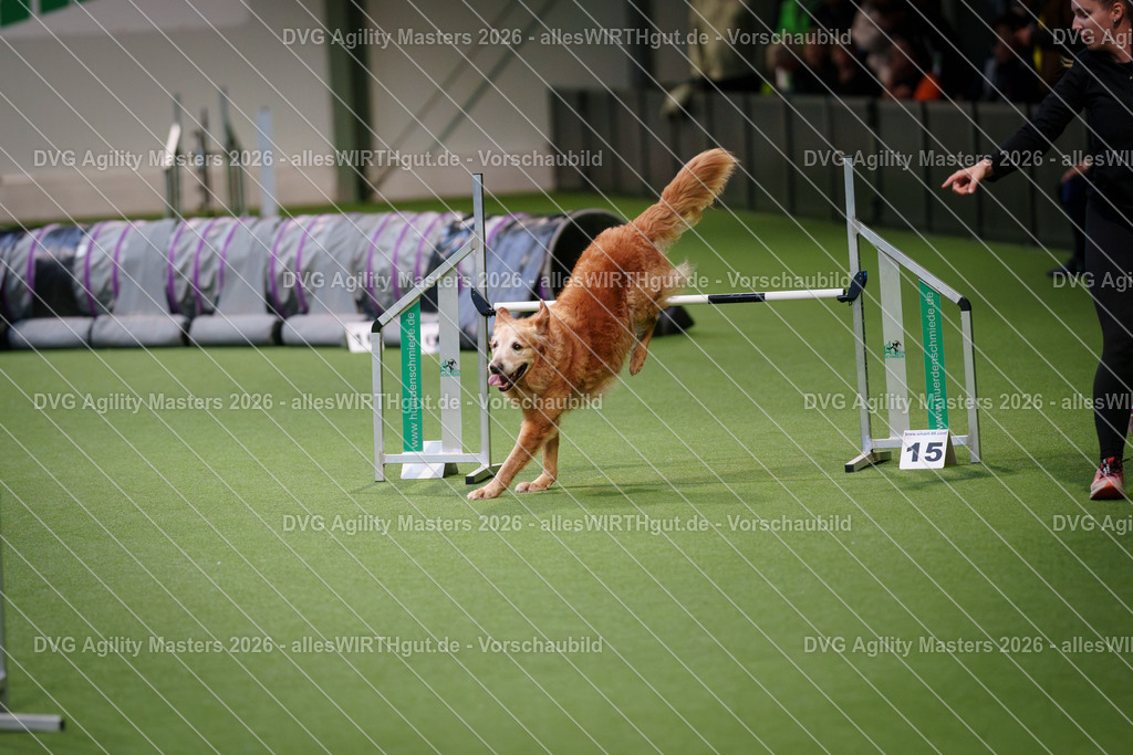 allesWIRTHgut_Tierfotografie-DVG_Agility_Masters_2026-08_11-7R509712 | Professionelle Tierfotografie in Mönchengladbach von Daniel Wirth (allesWIRTHgut). Liebevolle & natürliche Bilder von Hunden & Katzen für unvergessliche Erinnerungen.