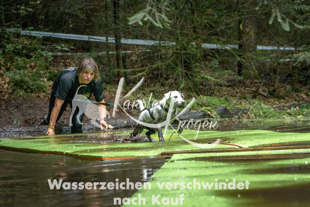 1512_ZZ94720-Bearbeitet | kk-dogfotos