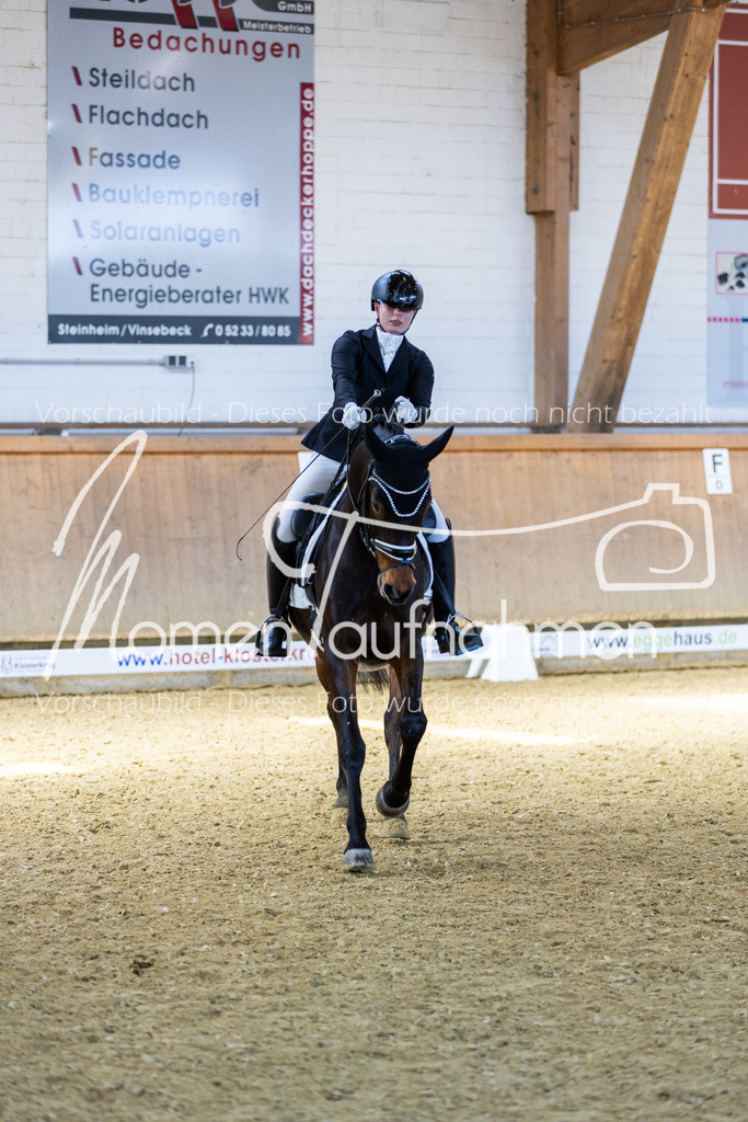 Sth-LPO25-DrR-L-188 | MomenTaufnahmen Pferdesportfotos