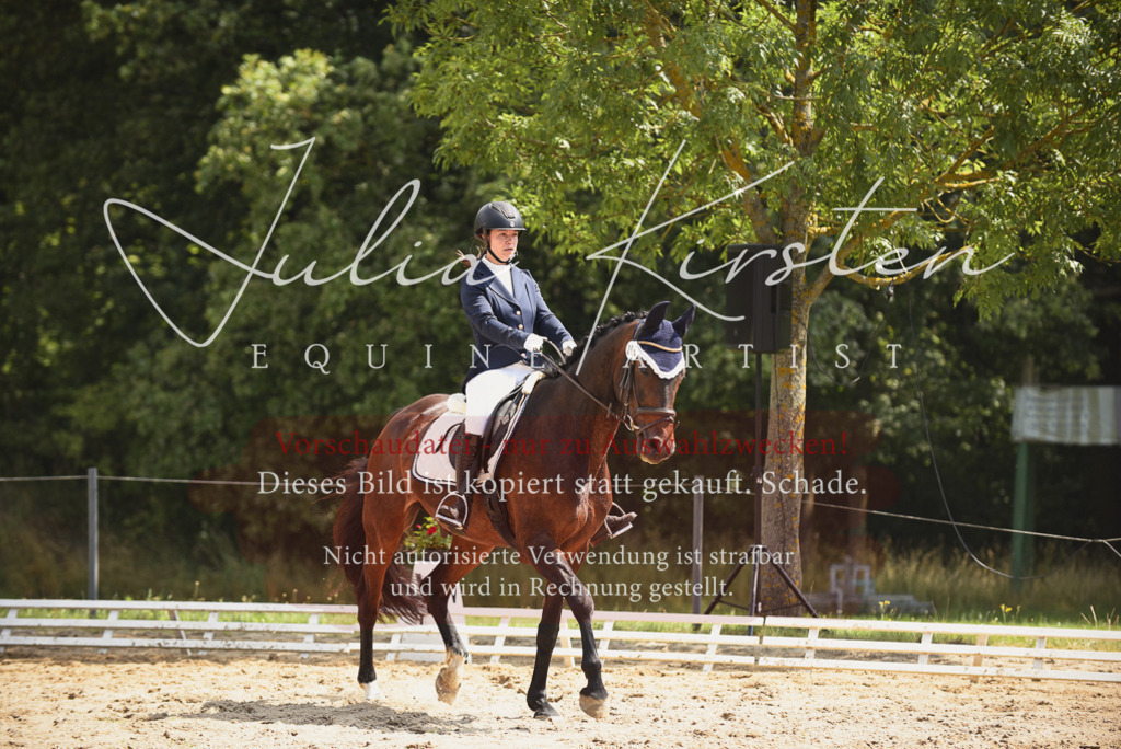 DSC_0974 | Pferde- und Turnierfotografie in Westsachsen. Pferdeportraits, Auftragszeichnungen und intuitive Kunst.