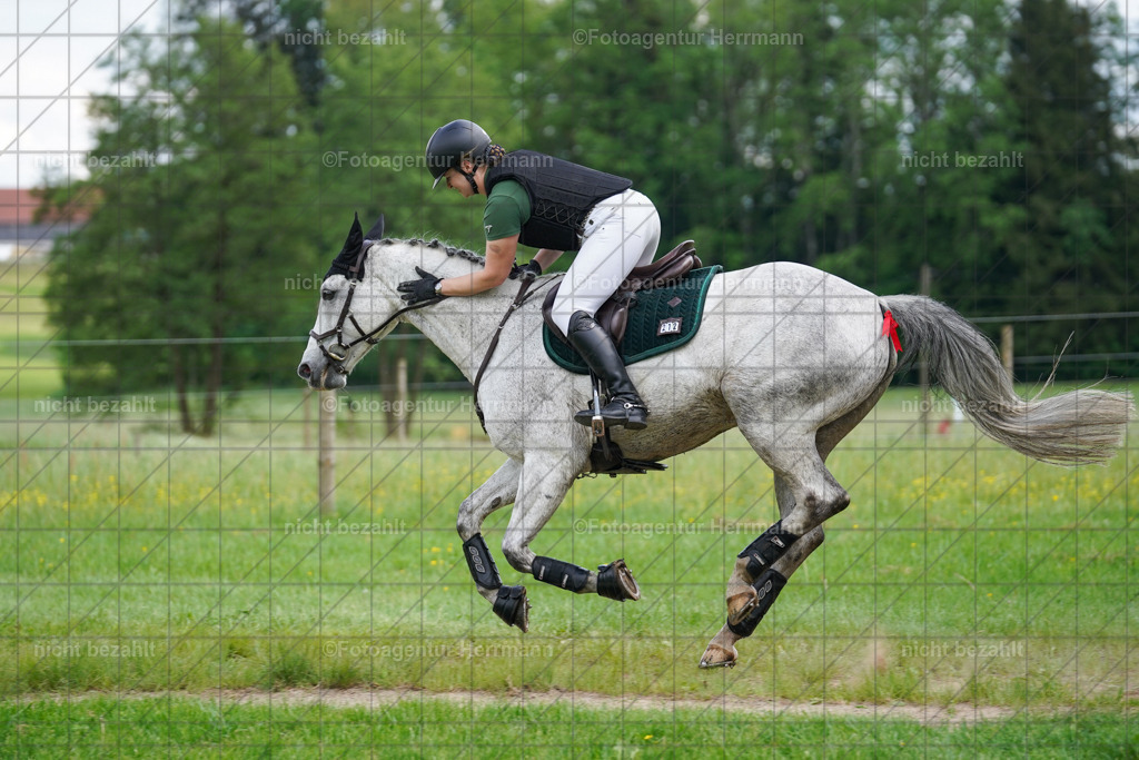 20240518-FAH03780 | Turnierbilder von Niederseon, Turnierfotografen Bayern, Fotoagentur Herrmann, Geländebilder, Reitsportfotografie