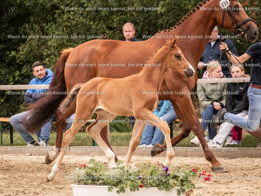 A10I5678 | photographylinaismer - Realisiert mit Pictrs.com