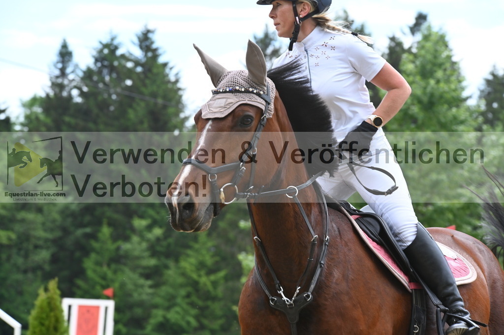 DSC_8442 | equestrian-live-com