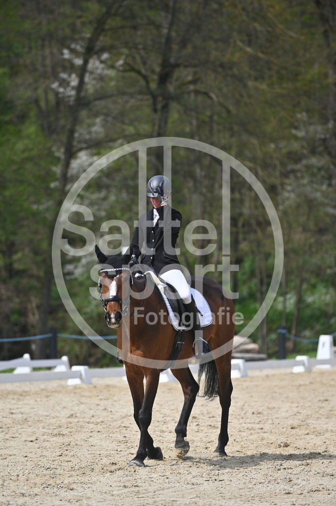 DSC_3243 | sattelsport - Realisiert mit Pictrs.com