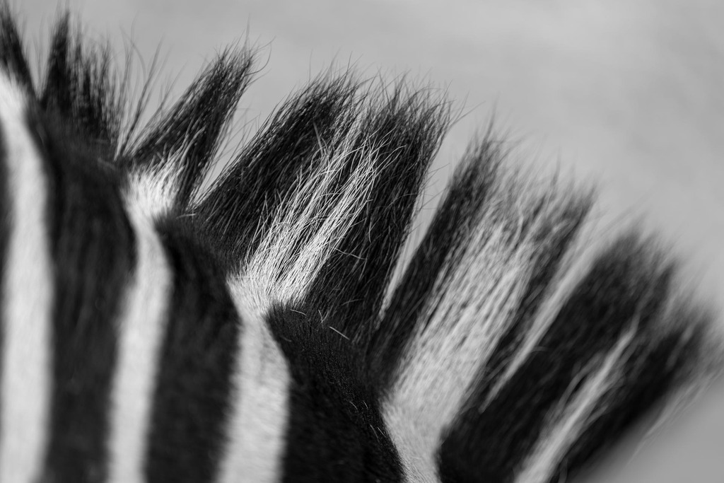 2023_09_03 A7402205 | bridgeman - Realisiert mit Pictrs.com