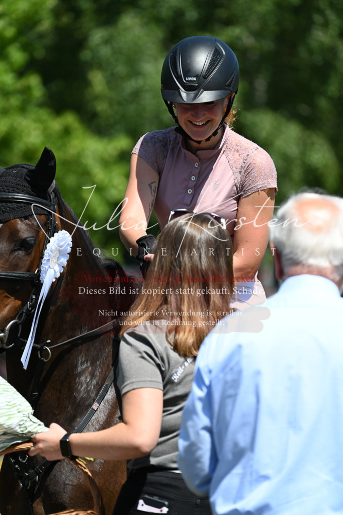 DSC_0882 | Pferde- und Turnierfotografie in Westsachsen. Pferdeportraits, Auftragszeichnungen und intuitive Kunst.