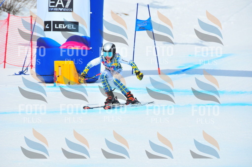 DSC_6272 | holidayphoto