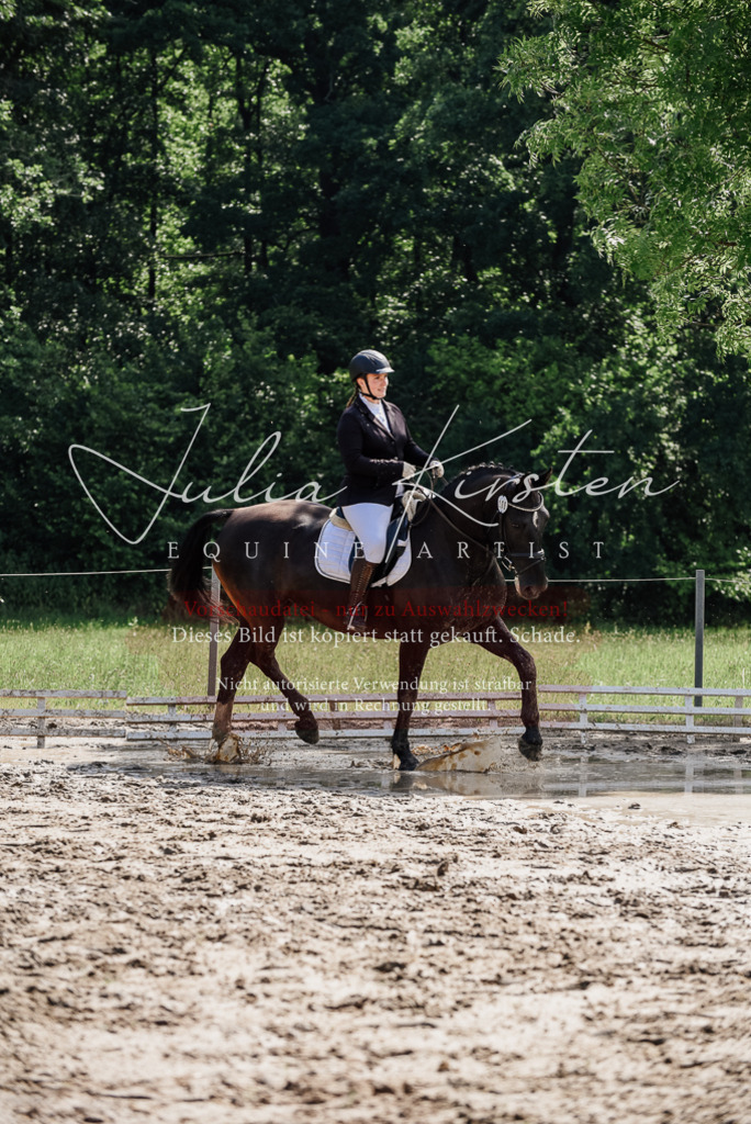 DSC_0145 | Pferde- und Turnierfotografie in Westsachsen. Pferdeportraits, Auftragszeichnungen und intuitive Kunst.