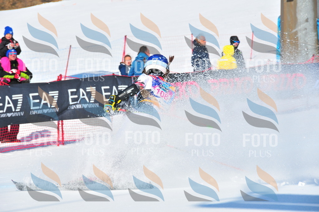 DSC_4659 | holidayphoto