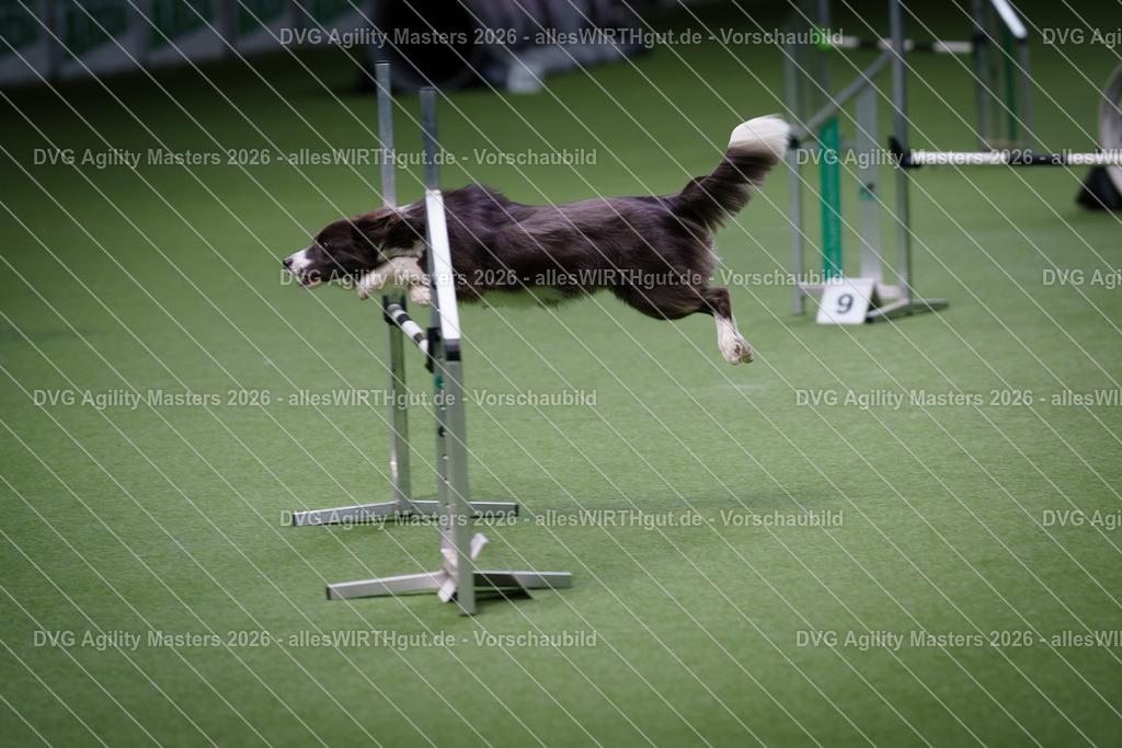 allesWIRTHgut_Tierfotografie-DVG_Agility_Masters_2026-10_35-7R500758 | Professionelle Tierfotografie in Mönchengladbach von Daniel Wirth (allesWIRTHgut). Liebevolle & natürliche Bilder von Hunden & Katzen für unvergessliche Erinnerungen.