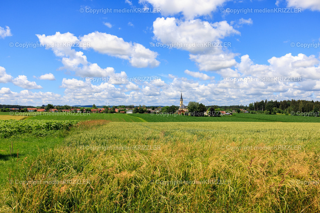 Peterskirchen | medienkrizzler - Realisiert mit Pictrs.com