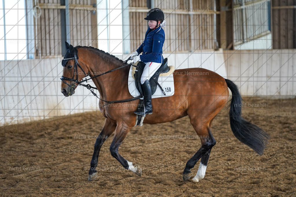 20230518-FAH03616 | Frühjahrsturnier, landberg am Lech, 2023, Reitclub Landsberg, Turnierbilder, Fotos Turnier Landsberg, Fotoagentur Herrmann, Turnierfotografen Bayern, reitsport Fotograf, Pferde Fotograf