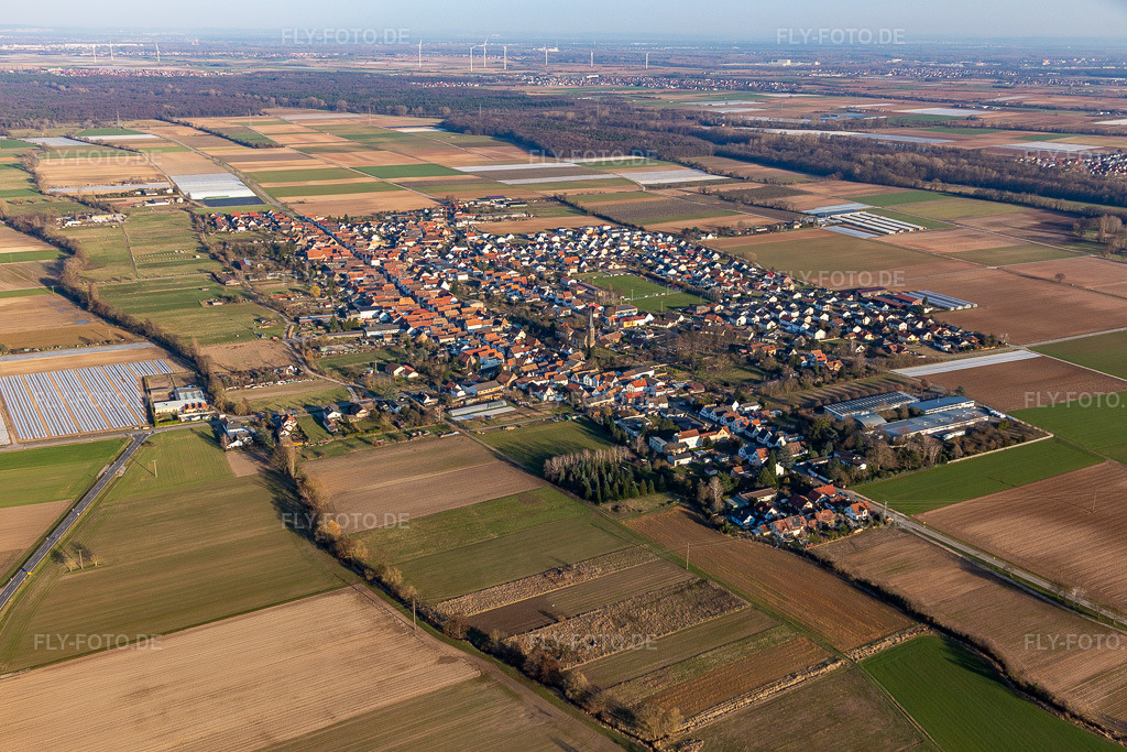 Luftbild: Ortsansicht am Rande von landwirtschaftlichen Feldern und Nutzflächen in Gommersheim im Bundesland Rheinland-Pfalz in Deutschland. Foto: IMG_126059.jpg vom 07.03.2021 durch Werner Riehm/FLY-FOTO.de