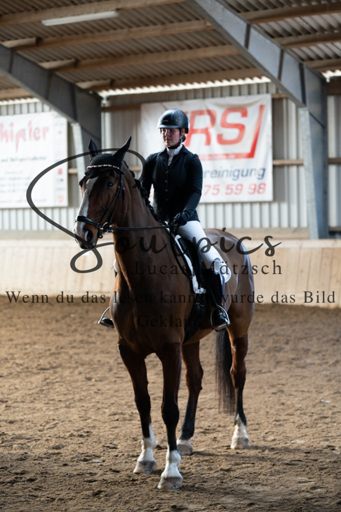 A7V05387 | Pferdefotograf