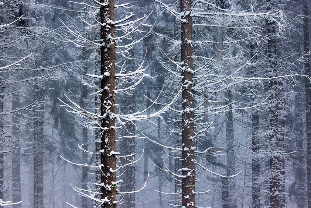 Ein Hans Fineart Original | Entdecke die Kunst von Hans Fineart - Fotografien für dein Zuhause. Verwandle deine Wände mit einzigartigen Kunstwerken und bringe die Schönheit der Welt in dein Leben. Bestelle jetzt und schaffe einen Ort der Inspiration und Eleganz.