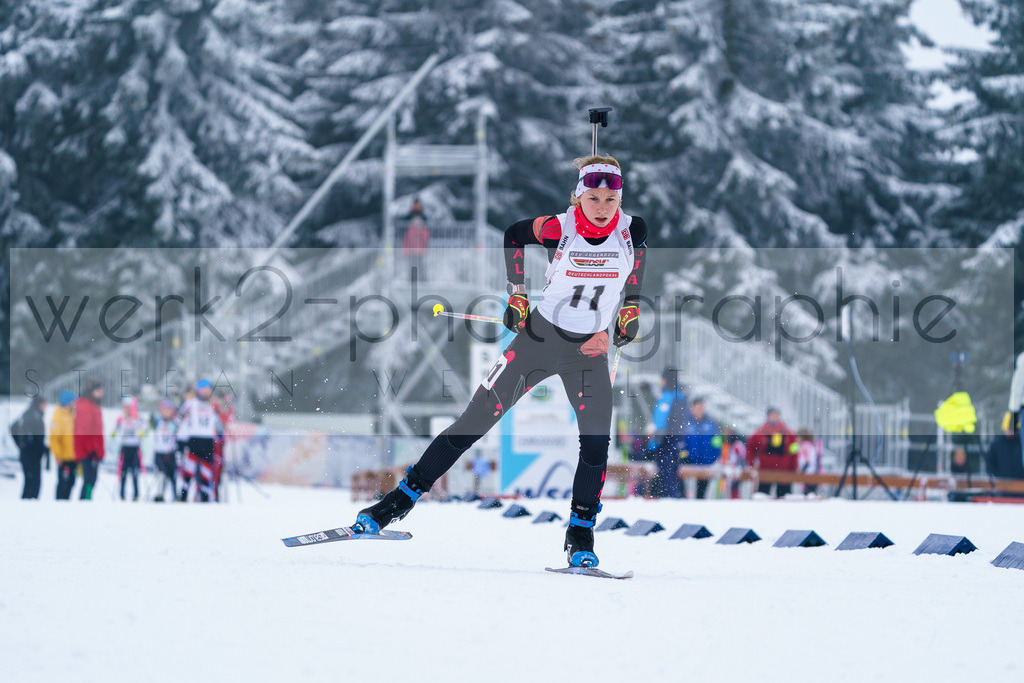 DP Oberwiesenthal | Alpencup/DP Deutschlandpokal in Oberwiesenthal am 15.-17.12.2023