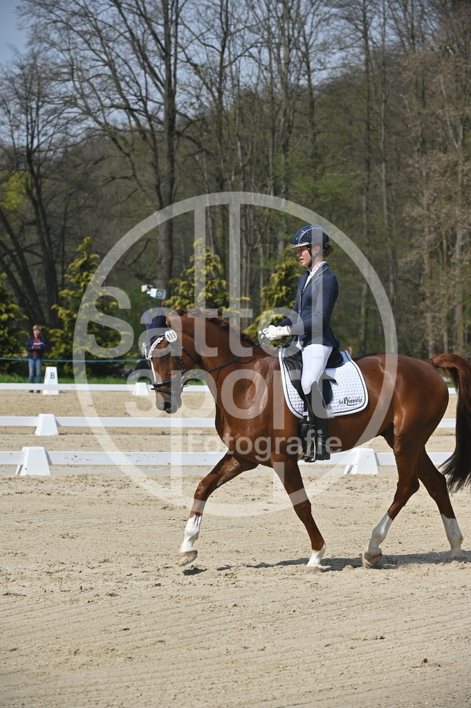 DSC_1124 | sattelsport - Realisiert mit Pictrs.com