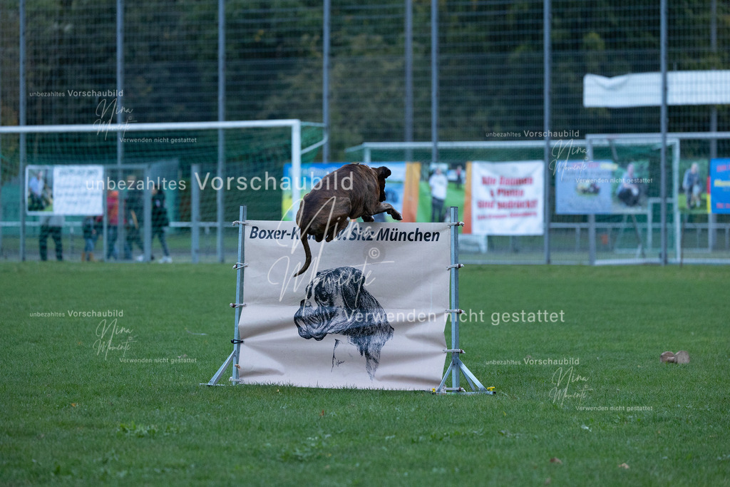 _16A4454 | Einzigartige Fotos von Hunden & Menschen –Actionfotos, Portraits, Vereinsaufnahmen & Paarshootings – authentisch, lebendig & mit Herz.