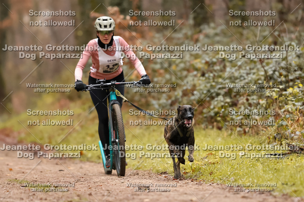 Dog Paparazzi - Speedhunter Mannheim  2025-52 | Dog Paparazzi Jeanette Grottendiek Fotografie & Videografie