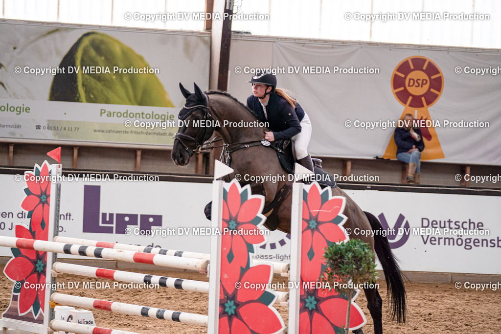 Kranichstein Tag 3-730 | dv-media-shop - Realisiert mit Pictrs.com