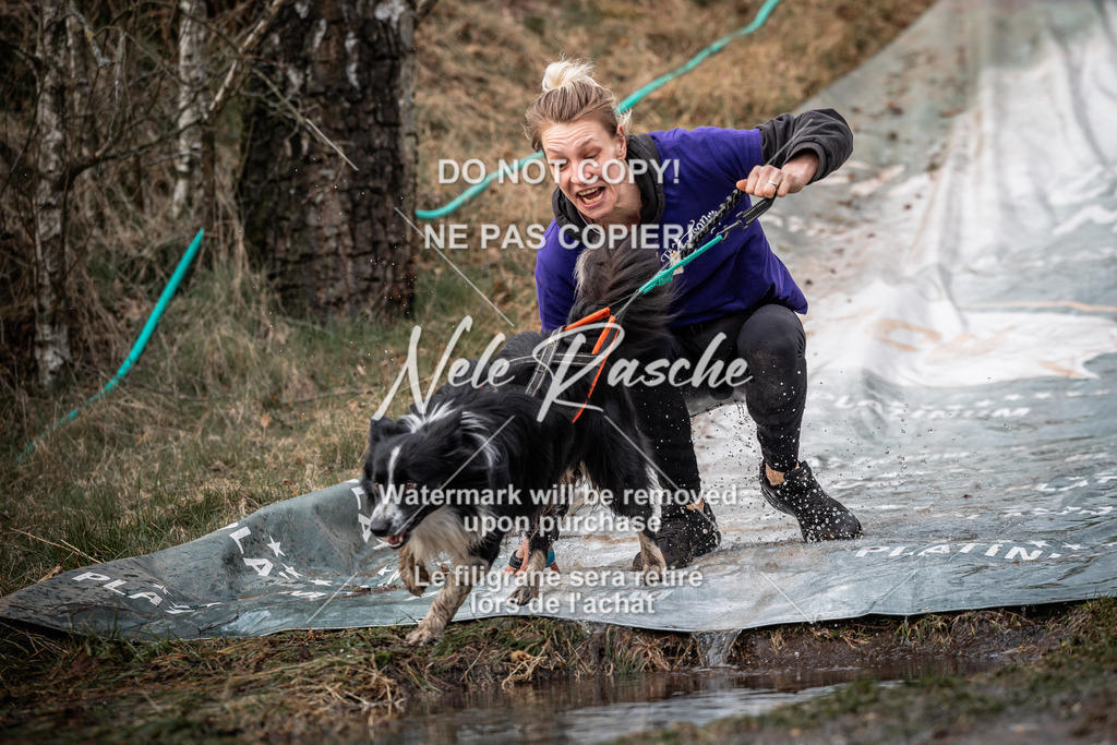 nelerasche_1330-1400_314 | nelerasche