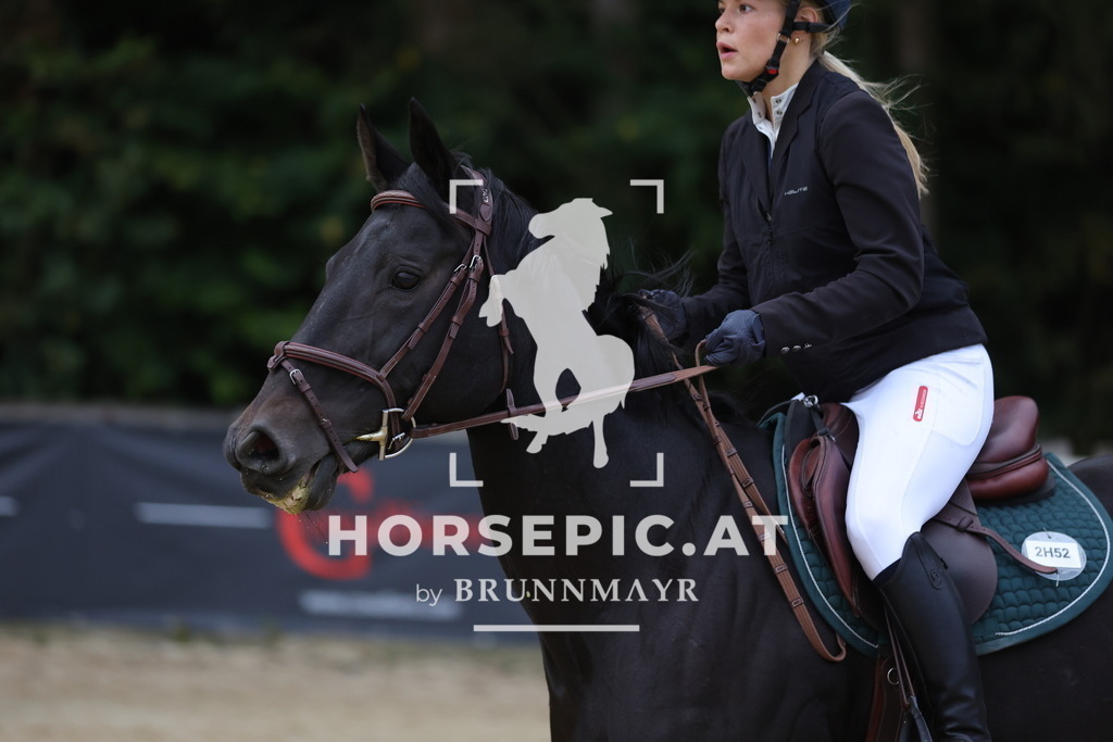 0P6A4885 | Willkommen bei Brunnmayr - Design & Fotografie – Ihrem Spezialisten für Reitturniere und Pferdeveranstaltungen in Oberösterreich, Salzburg und Bayern! Seit über 17 Jahren sind wir leidenschaftlich dabei.