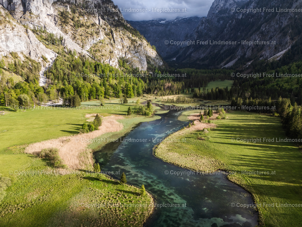 Brunnsee 15052025 _ Fred Lindmoser--3 | default - Realisiert mit Pictrs.com