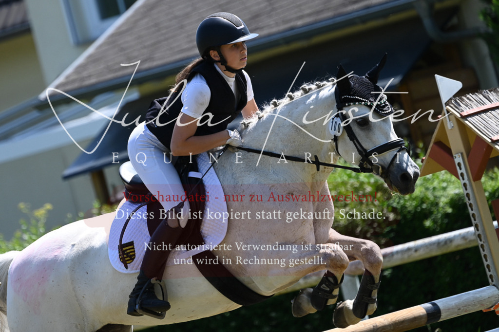 DSC_0856 | Pferde- und Turnierfotografie in Westsachsen. Pferdeportraits, Auftragszeichnungen und intuitive Kunst.