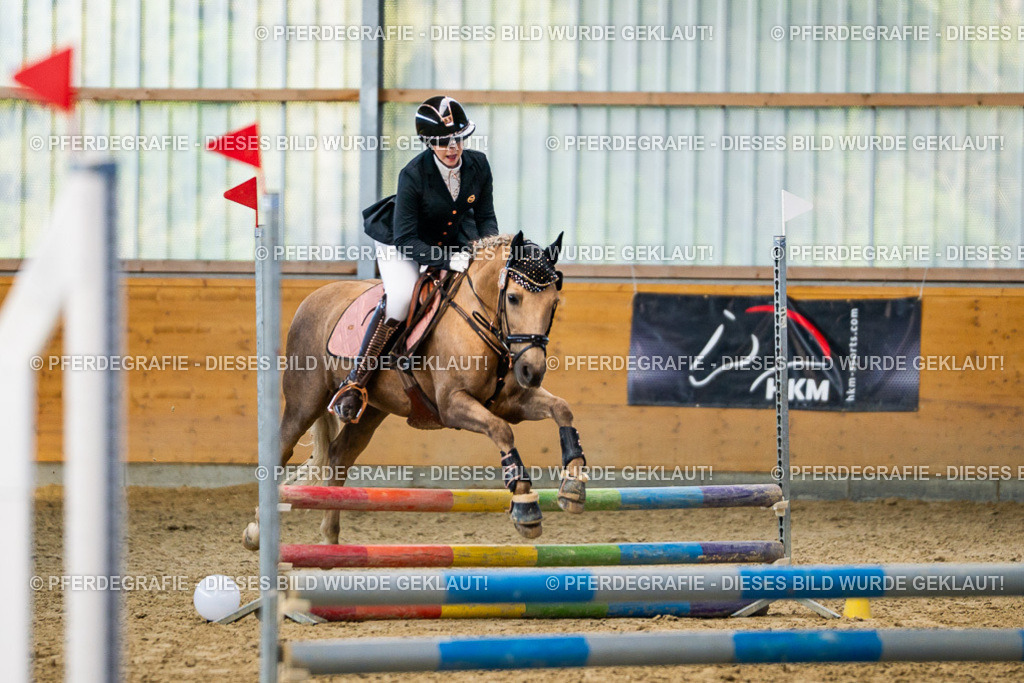 DSC01258 | Pferdegrafie