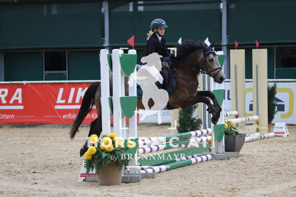 0P6A7100 | Willkommen bei Brunnmayr - Design & Fotografie – Ihrem Spezialisten für Reitturniere und Pferdeveranstaltungen in Oberösterreich, Salzburg und Bayern! Seit über 17 Jahren sind wir leidenschaftlich dabei.