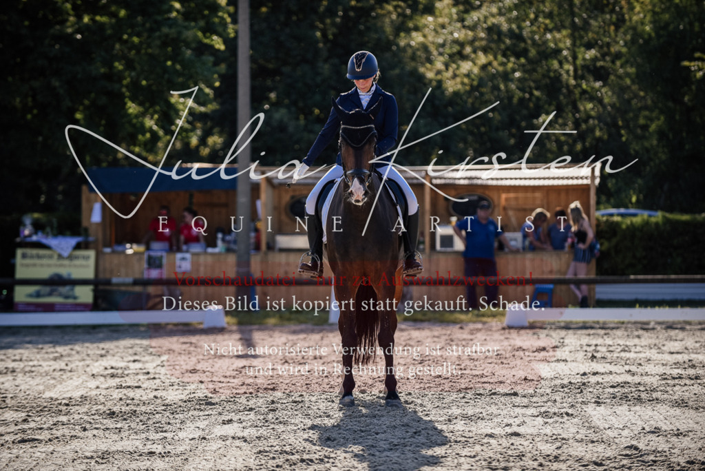 DSC_0626 | Pferde- und Turnierfotografie in Westsachsen. Pferdeportraits, Auftragszeichnungen und intuitive Kunst.