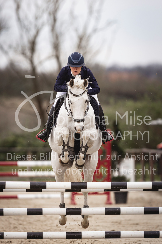 240327_Fruehlingsfest_Stil-L-2-422 | Deine schönsten Turniermomente als professionelle Fotos! Entdecke hochwertige Pferdesport-Fotografie im Online-Shop. Jetzt Fotos finden & bestellen!