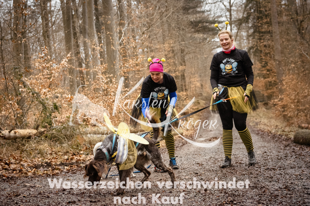 1225_ZZ95341 | kk-dogfotos