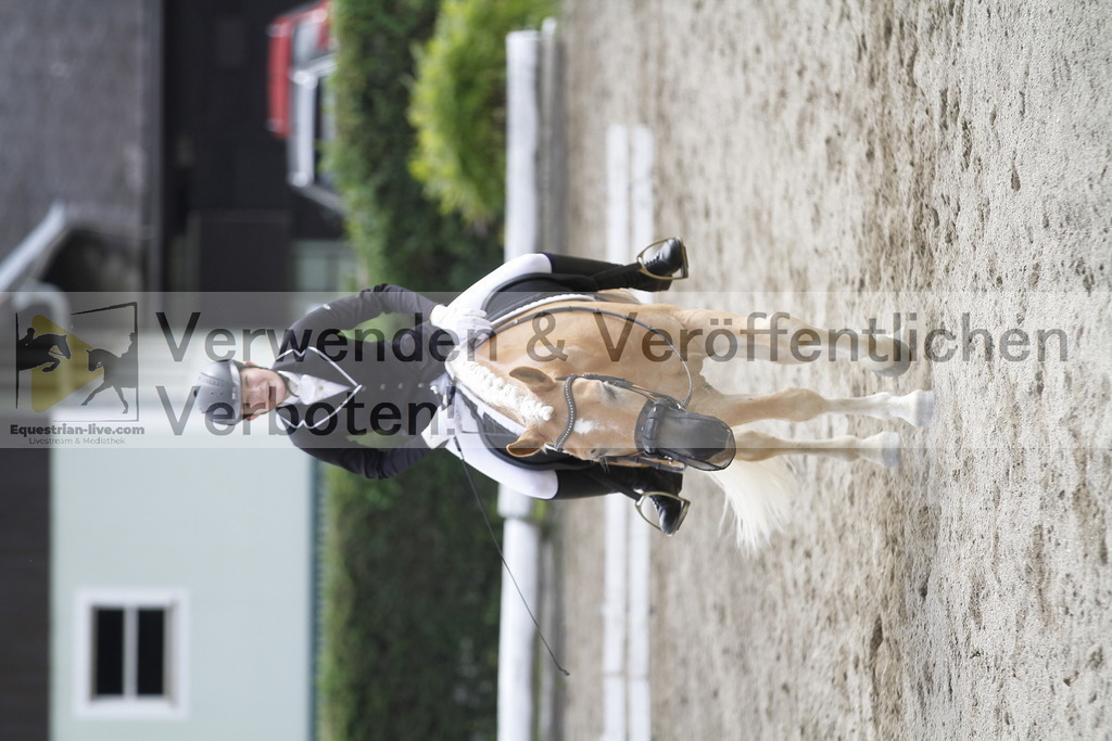 _MG_1050 | equestrian-live-com