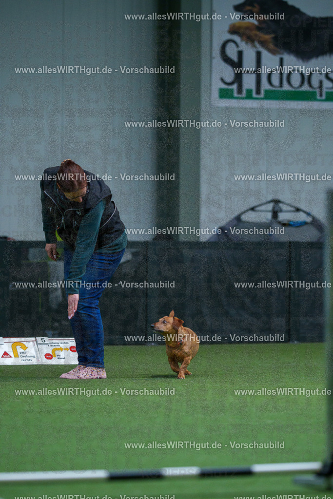 7R501867 | Professionelle Tierfotografie in Mönchengladbach von Daniel Wirth (allesWIRTHgut). Liebevolle & natürliche Bilder von Hunden & Katzen für unvergessliche Erinnerungen.