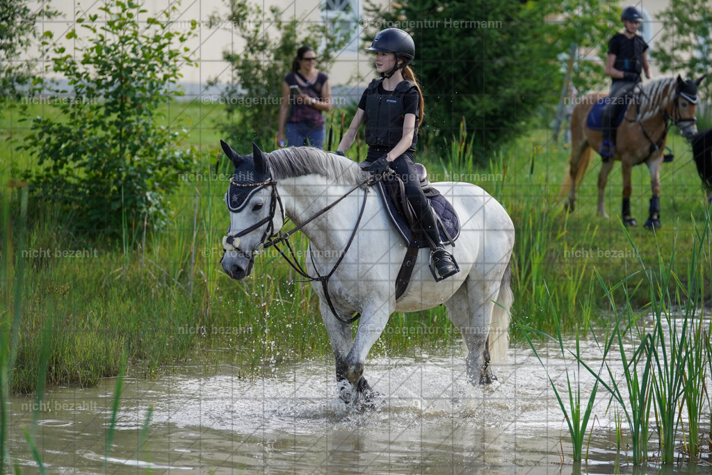 20240622-FAH08106 | Turnierfotografen Bayern, Reitsportbilder aus dem Geländekurs mit Felix Etzel auf dem Gut Waitzacker 2024
