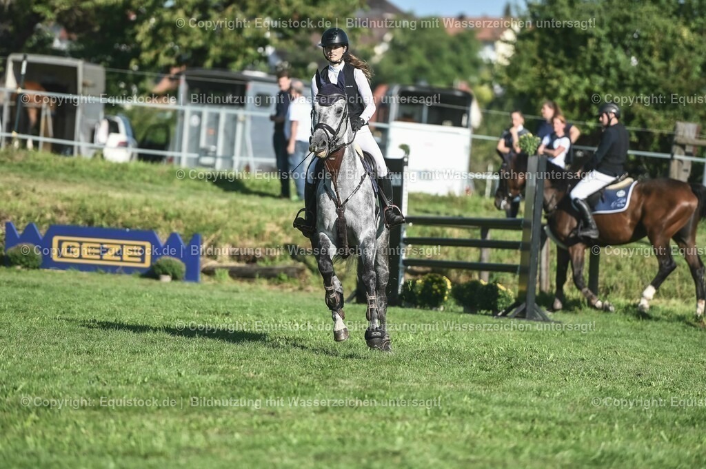20230908_14-15_Springpferde-A_0078 | equistock