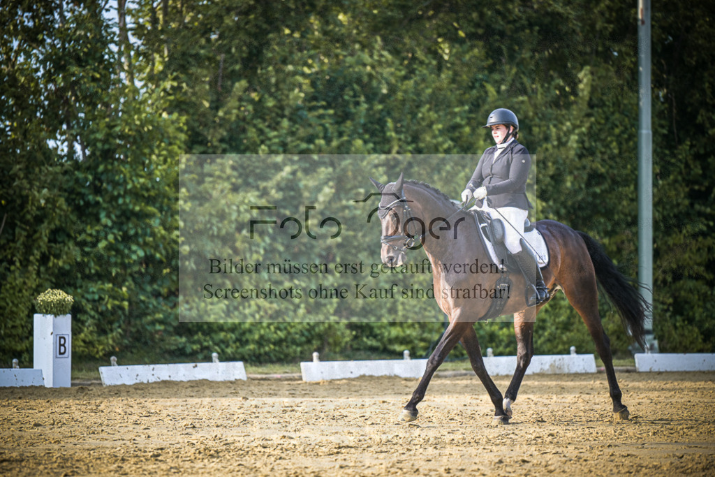 DOS_1419 | Entdecke hochwertige Reitturnierfotos von Foto Oger. Professionell, emotional und authentisch – jetzt Lieblingsmomente im Shop bestellen.Deutschlandweite Turnierfotografie. - Realisiert mit Pictrs.com